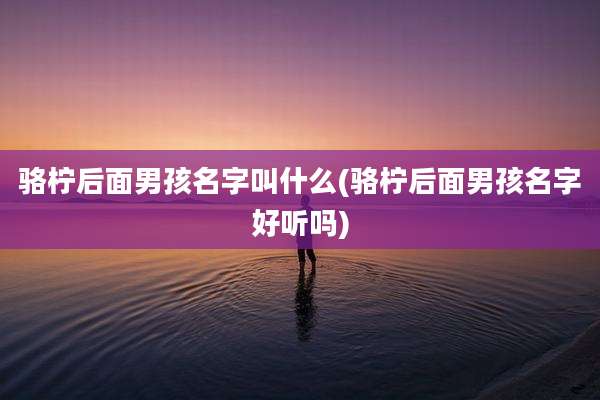 骆柠后面男孩名字叫什么(骆柠后面男孩名字好听吗)
