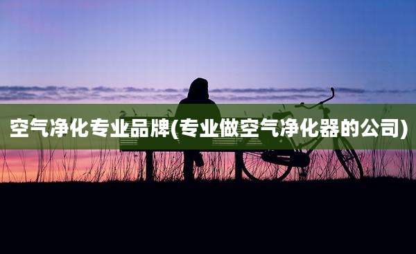 空气净化专业品牌(专业做空气净化器的公司)