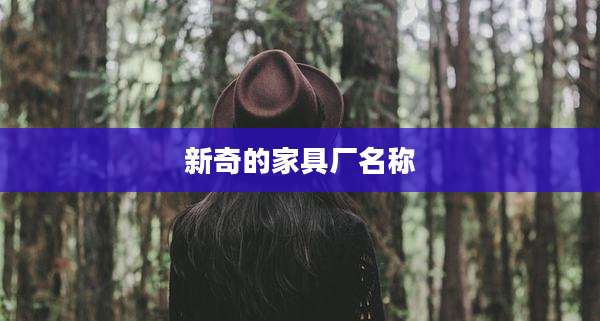 新奇的家具厂名称