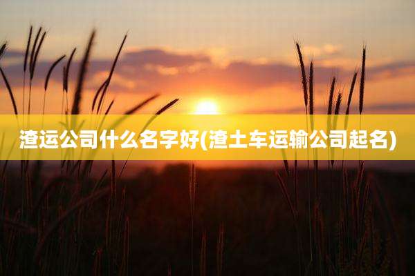 渣运公司什么名字好(渣土车运输公司起名)