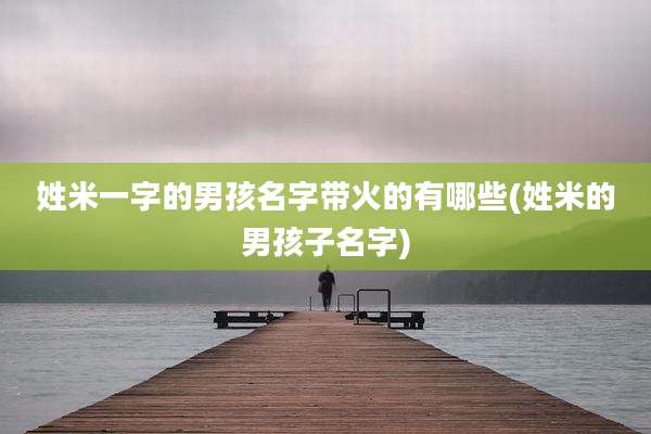 姓米一字的男孩名字带火的有哪些(姓米的男孩子名字)