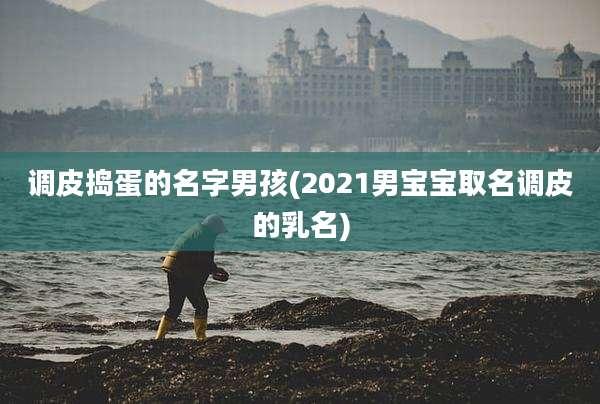 调皮捣蛋的名字男孩(2021男宝宝取名调皮的乳名)
