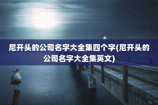 尼开头的公司名字大全集四个字(尼开头的公司名字大全集英文)