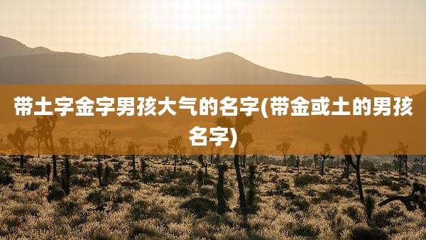 带土字金字男孩大气的名字(带金或土的男孩名字)