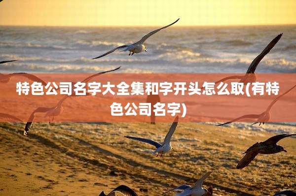 特色公司名字大全集和字开头怎么取(有特色公司名字)