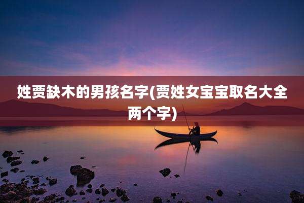 姓贾缺木的男孩名字(贾姓女宝宝取名大全两个字)