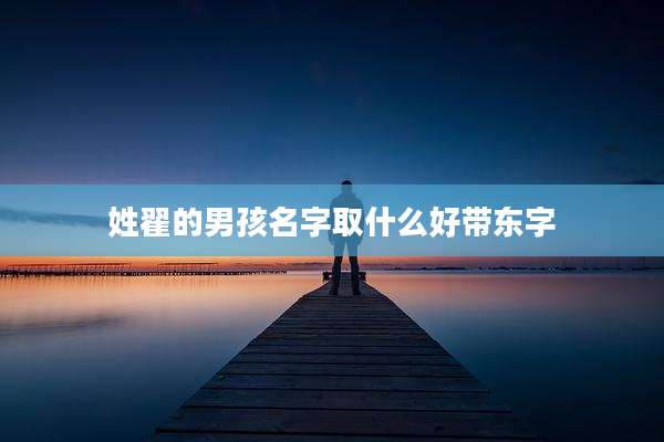 姓翟的男孩名字取什么好带东字