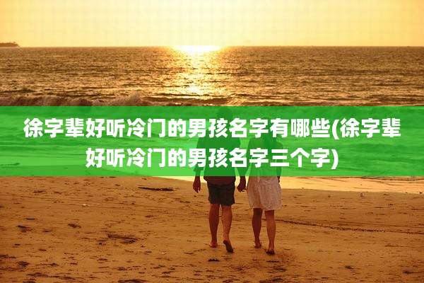 徐字辈好听冷门的男孩名字有哪些(徐字辈好听冷门的男孩名字三个字)