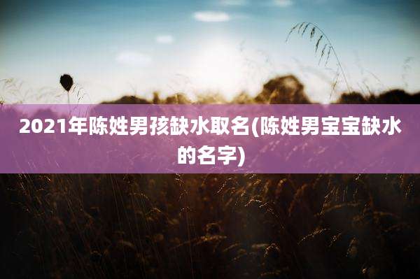2021年陈姓男孩缺水取名(陈姓男宝宝缺水的名字)