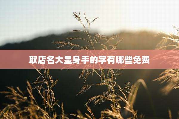 取店名大显身手的字有哪些免费