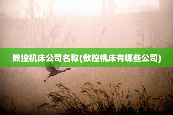 数控机床公司名称(数控机床有哪些公司)