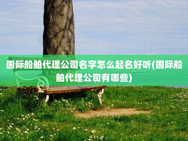 国际船舶代理公司名字怎么起名好听(国际船舶代理公司有哪些)