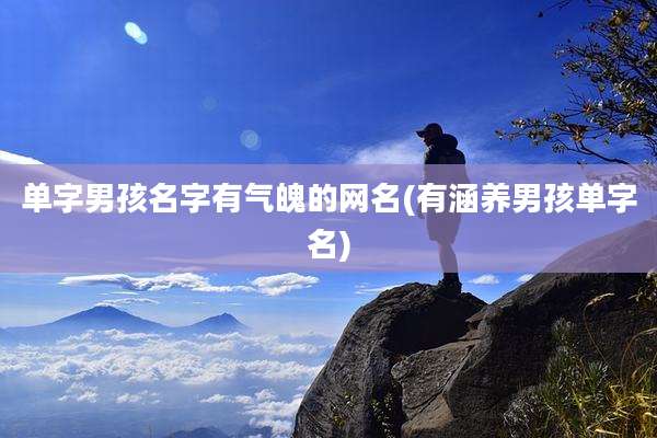 单字男孩名字有气魄的网名(有涵养男孩单字名)