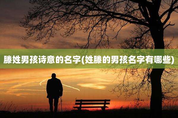 滕姓男孩诗意的名字(姓滕的男孩名字有哪些)