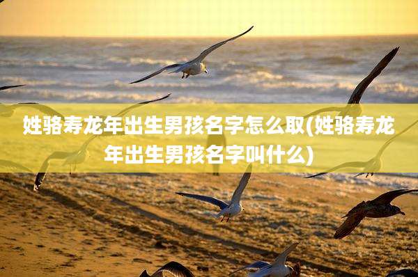 姓骆寿龙年出生男孩名字怎么取(姓骆寿龙年出生男孩名字叫什么)