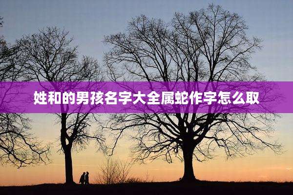 姓和的男孩名字大全属蛇作字怎么取