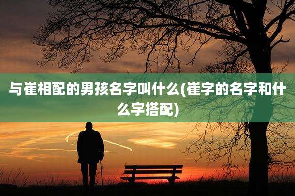 与崔相配的男孩名字叫什么(崔字的名字和什么字搭配)