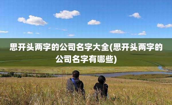 思开头两字的公司名字大全(思开头两字的公司名字有哪些)