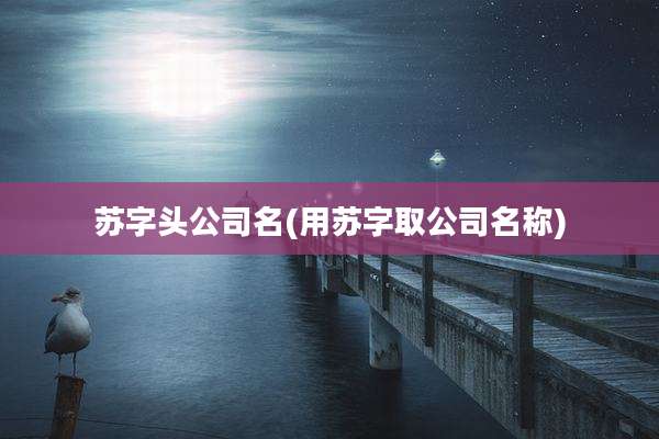 苏字头公司名(用苏字取公司名称)