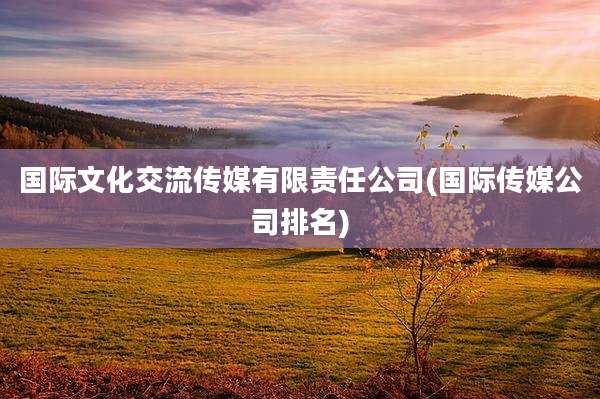 国际文化交流传媒有限责任公司(国际传媒公司排名)