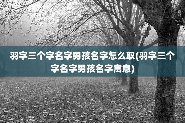 羽字三个字名字男孩名字怎么取(羽字三个字名字男孩名字寓意)