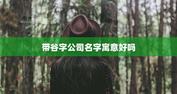带谷字公司名字寓意好吗