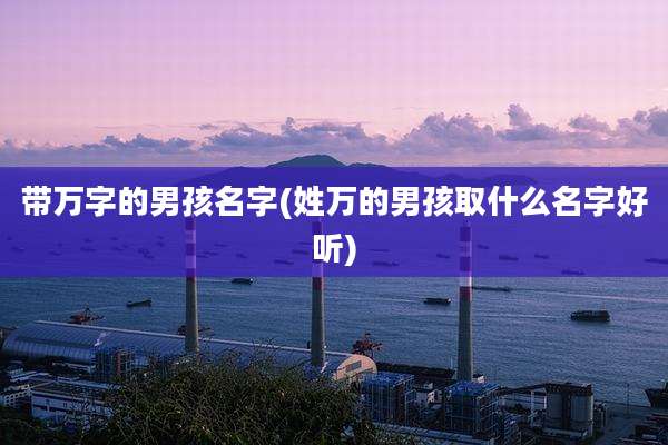 带万字的男孩名字(姓万的男孩取什么名字好听)