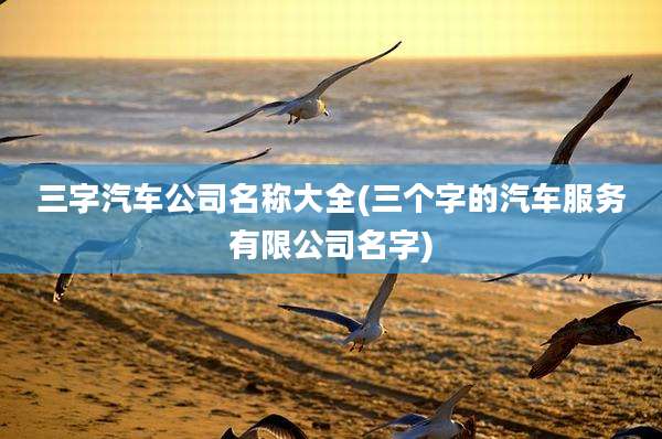 三字汽车公司名称大全(三个字的汽车服务有限公司名字)