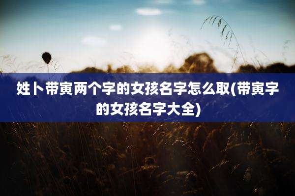姓卜带寅两个字的女孩名字怎么取(带寅字的女孩名字大全)