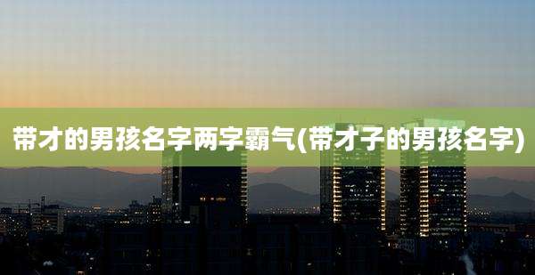 带才的男孩名字两字霸气(带才子的男孩名字)