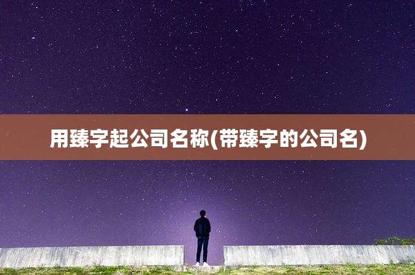 用臻字起公司名称(带臻字的公司名)