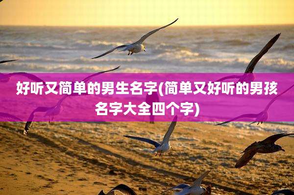 好听又简单的男生名字(简单又好听的男孩名字大全四个字)