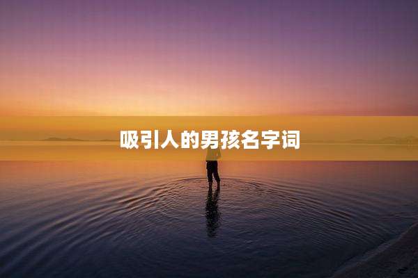 吸引人的男孩名字词