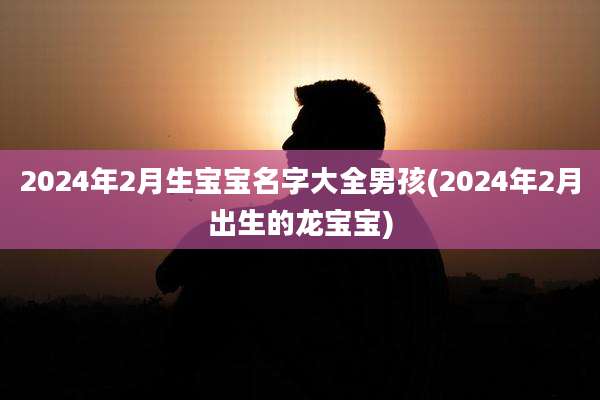 2024年2月生宝宝名字大全男孩(2024年2月出生的龙宝宝)