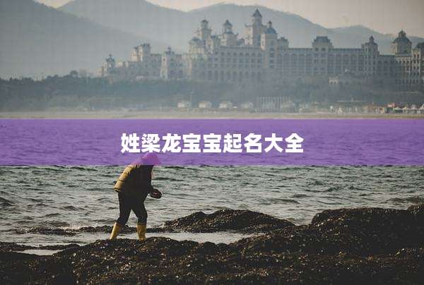 姓梁龙宝宝起名大全