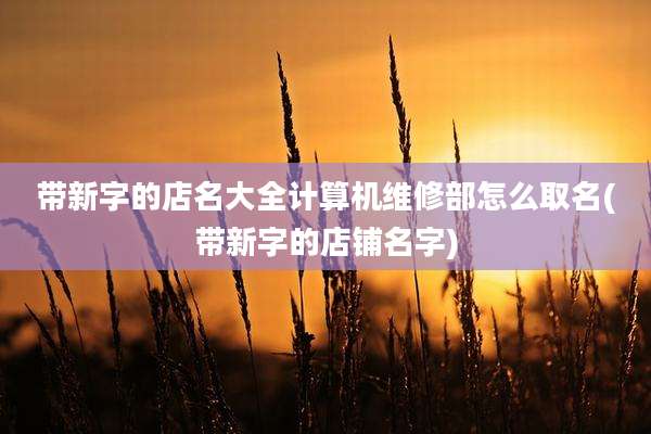 带新字的店名大全计算机维修部怎么取名(带新字的店铺名字)