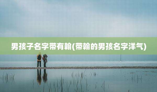 男孩子名字带有翰(带翰的男孩名字洋气)