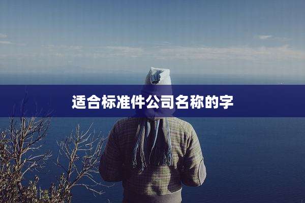 适合标准件公司名称的字