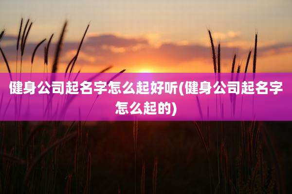 健身公司起名字怎么起好听(健身公司起名字怎么起的)