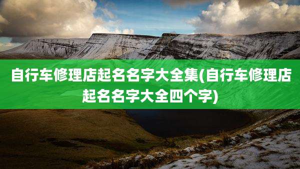自行车修理店起名名字大全集(自行车修理店起名名字大全四个字)