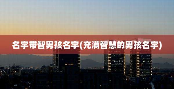 名字带智男孩名字(充满智慧的男孩名字)