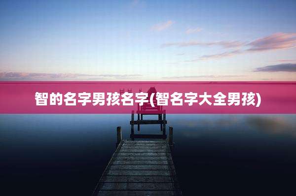 智的名字男孩名字(智名字大全男孩)