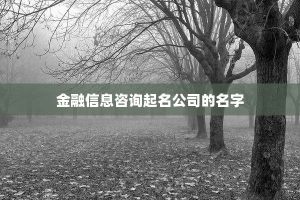 金融信息咨询起名公司的名字