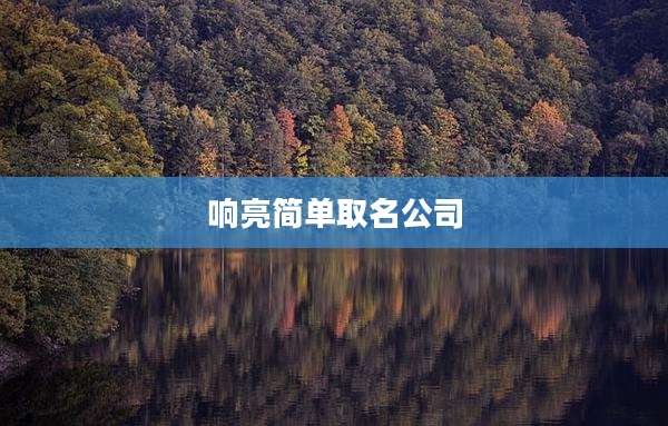 响亮简单取名公司