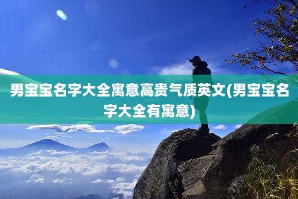 男宝宝名字大全寓意高贵气质英文(男宝宝名字大全有寓意)