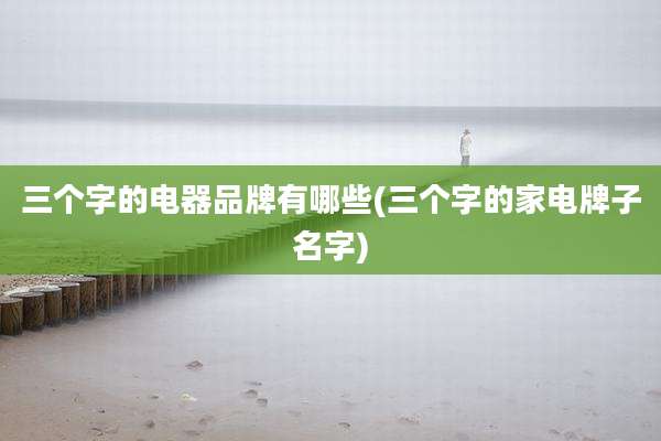 三个字的电器品牌有哪些(三个字的家电牌子名字)