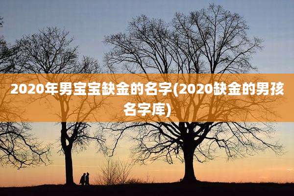 2020年男宝宝缺金的名字(2020缺金的男孩名字库)