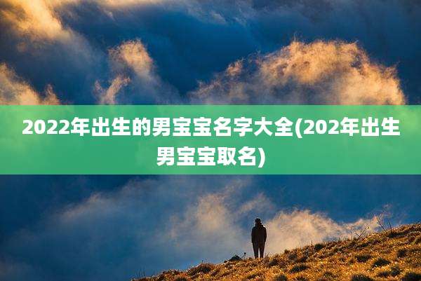 2022年出生的男宝宝名字大全(202年出生男宝宝取名)