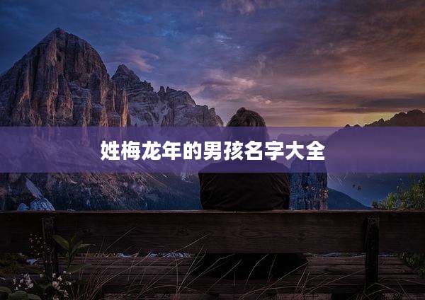 姓梅龙年的男孩名字大全