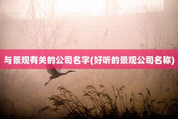 与景观有关的公司名字(好听的景观公司名称)